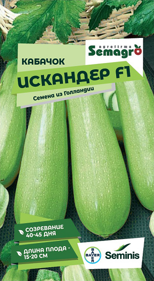 8044N Кабачок Искандер F1 5шт