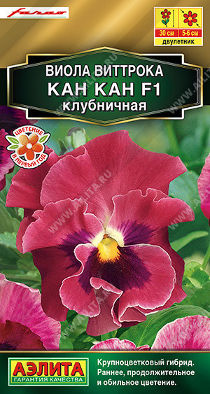 1367A Виола Кан Кан F1 клубничная 7 шт