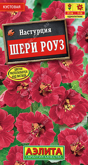 1667A Настурция Шери Роуз карликовая 1 г