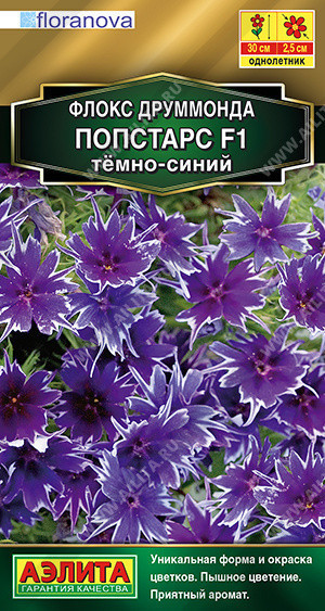 1867A Флокс друммонда Попстарс F1 темно-синий 5 шт