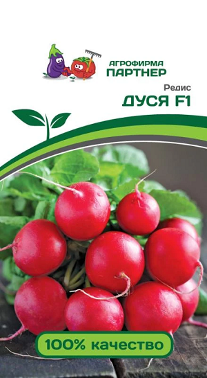 3138P Редис ДУСЯ F1 1 г