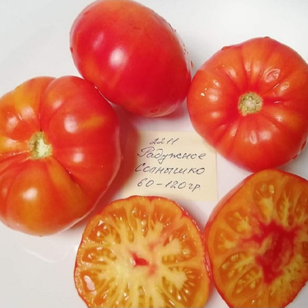 7132T Томат Радужное солнце 10шт 7132T Томат Радужное солнце 10шт