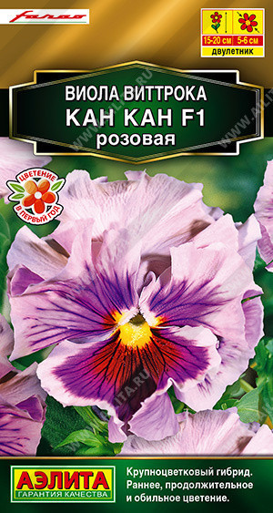 1368A Виола Кан Кан F1 розовая 7 шт