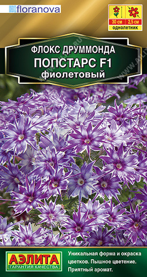 1868A Флокс друммонда Попстарс F1 фиолетовый 5 шт