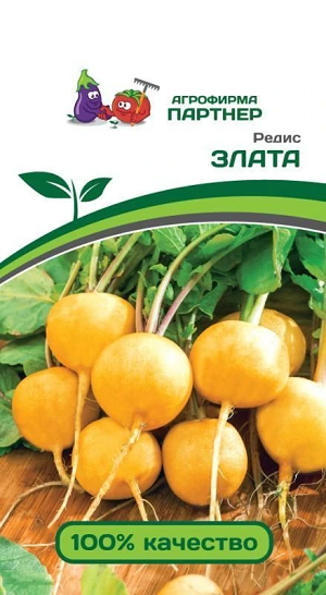 3139P Редис ЗЛАТА 2 г