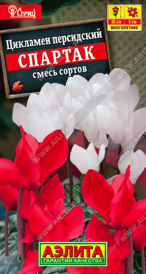 1873A Цикламен персидский Спартак, смесь сортов 3шт