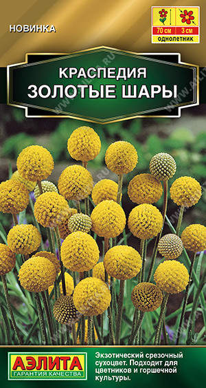 1569A Краспедия Золотые шары 0,05 г