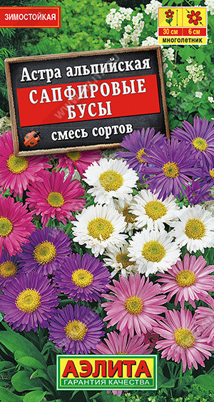 1183A Астра альпийская Сапфировые бусы, смесь сортов 0,1гр