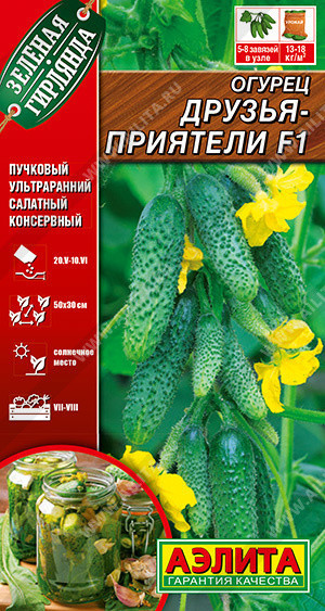 0658A Огурец Друзья-приятели F1 10шт 0658A Огурец Друзья-приятели F1 10шт