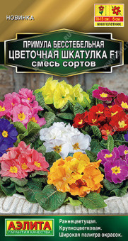 1771A Примула Цветочная шкатулка F1, смесь сортов 5шт
