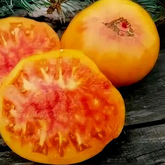 7134T Томат Русалка 10шт