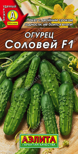 0684A Огурец Соловей F1 0,3гр