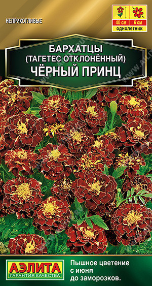 1284A Бархатцы Черный принц отклоненные 0,3гр