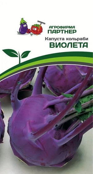 3042P Капуста кольраби ВИОЛЕТА 0,5гр 3042P Капуста кольраби ВИОЛЕТА 0,5гр