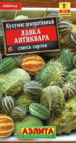 1571A Кукумис декоративный Лавка антиквара, смесь сортов 10 шт