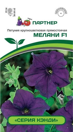 3342P Петуния серия "Кэнди" МЕЛАНИ F1 / крупноцветковая прямостоячая 5 шт