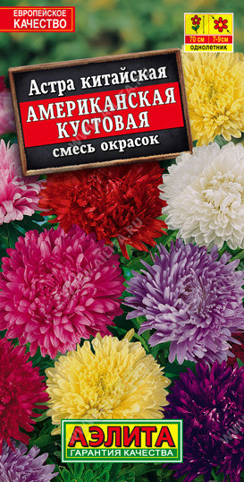 1185A Астра Американская кустовая, смесь сортов 0,2гр 1185A Астра Американская кустовая, смесь сортов 0,2гр