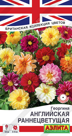 1385A Георгина Английская раннецветущая, смесь сортов 0,3гр 1385A Георгина Английская раннецветущая, смесь сортов 0,3гр