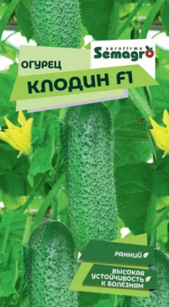 8049N Огурец Клодин F1 5шт