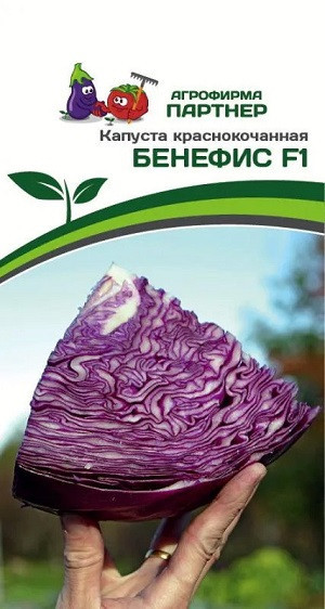 3043P Капуста кр/к БЕНЕФИС F1 0,3 г