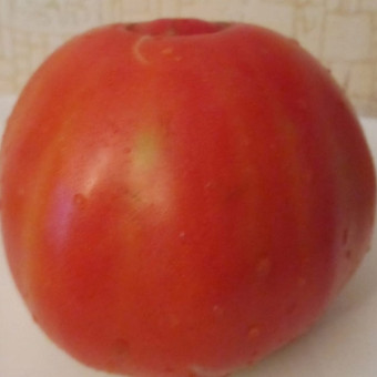7130T Томат Провенцано 10 шт