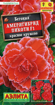 1286A Бегония Америгибрид Пикоти F1 красное кружево 5шт