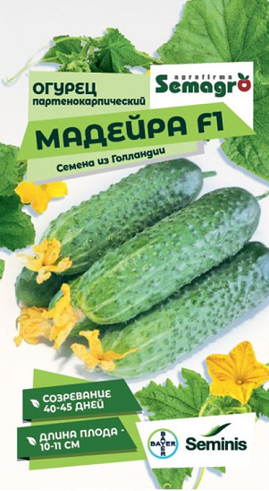 8050N Огурец Мадейра F1 5шт 8050N Огурец Мадейра F1 5шт