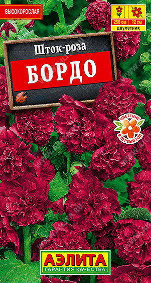1973A Шток-роза Бордо 15 шт