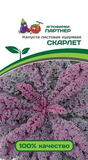 3044P Капуста листовая кудрявая СКАРЛЕТ 0,3 г