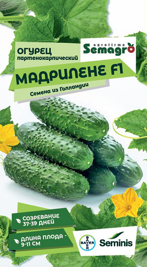 8051N Огурец Мадрилене F1 5шт