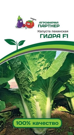 3045P Капуста Пекинская ГИДРА F1 0,5 г