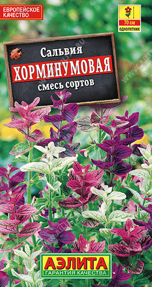 1788A Сальвия Хорминумовая, смесь сортов 0,3гр 1788A Сальвия Хорминумовая, смесь сортов 0,3гр