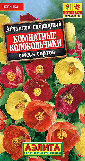 1175A Абутилон Комнатные колокольчики, смесь сортов 15 шт
