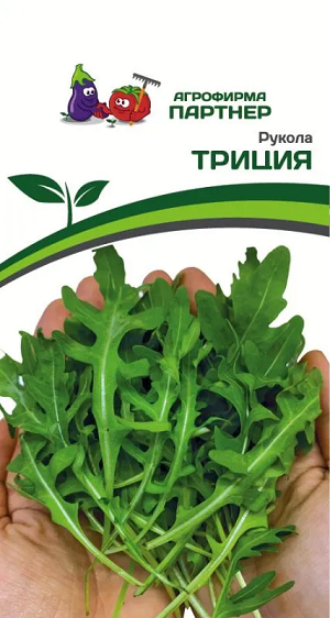 3146P Рукола ТРИЦИЯ 0,5 г