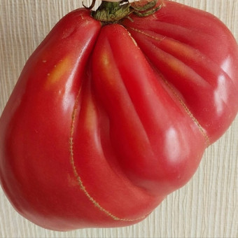 7133T Томат Ребелпик 5 шт