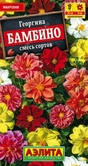 1389A Георгина махровая Бамбино, смесь сортов 7шт