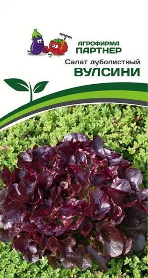 3147P Салат дуболистный ВУЛСИНИ 15 шт