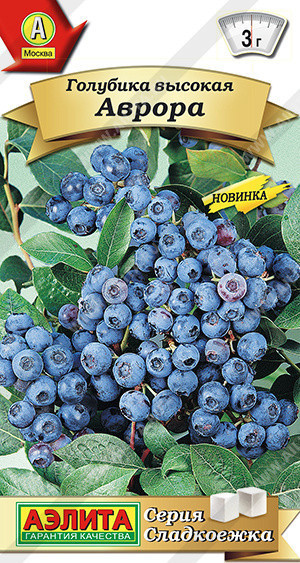 0362A Голубика высокая Аврора 0,01гр