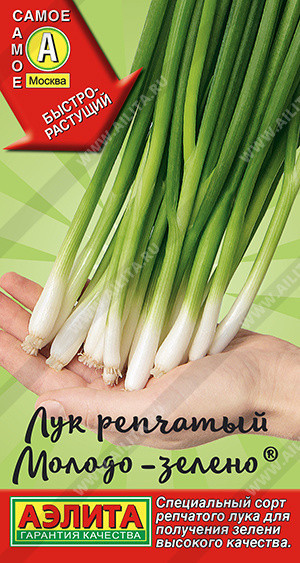 0562A Лук репчатый Молодо-зелено 0,5гр