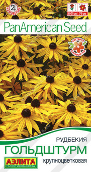 1778A Рудбекия Гольдштурм крупноцветковая 5шт