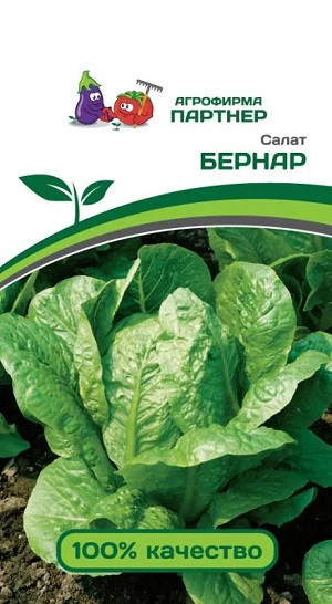 3152P Салат кочанный БЕРНАР 0,5гр