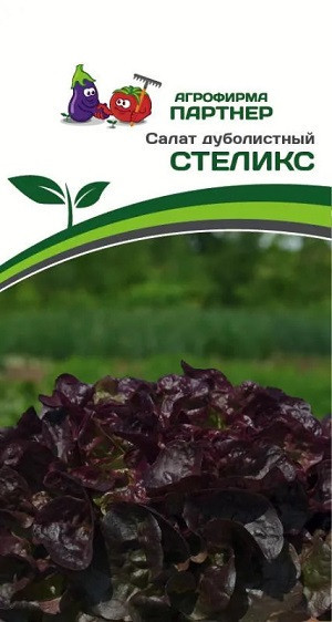 3148P Салат дуболистный СТЕЛИКС 15 шт