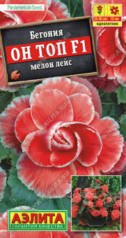 1291A Бегония Он Топ F1 мелон лейс 5шт