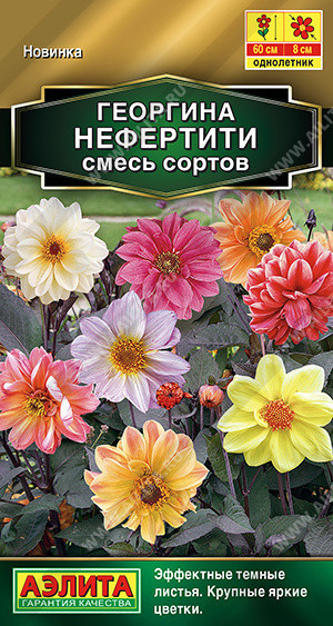 1391A Георгина Нефертити, смесь сортов 0,3гр 1391A Георгина Нефертити, смесь сортов 0,3гр