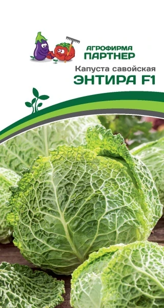 3049P Капуста савойская ЭНТИРА F1 0,05гр 3049P Капуста савойская ЭНТИРА F1 0,05гр