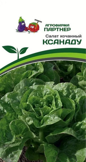 3153P Салат кочанный КСАНАДУ 15шт