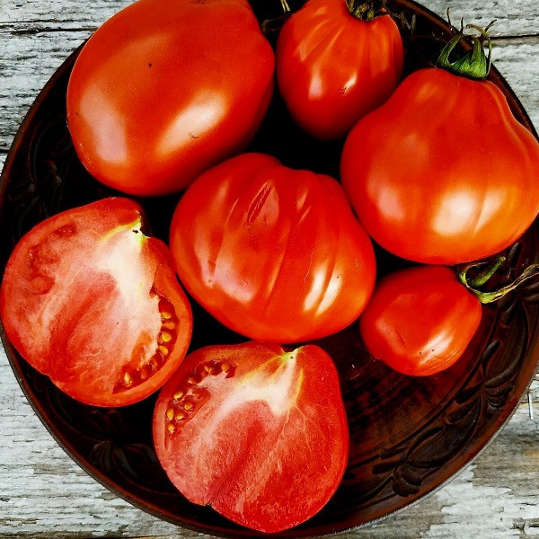 7040T Томат Кунео гигантская груша 10шт 7040T Томат Кунео гигантская груша 10шт