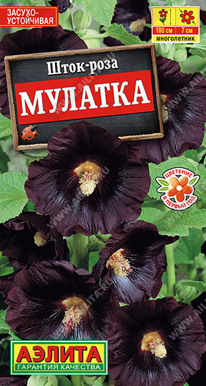 1978A Шток-роза Мулатка 10 шт