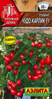 0992A Томат Чудо карлик F1 10шт