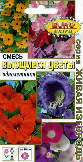 1379A Вьющиеся цветы, смесь 0,9 г